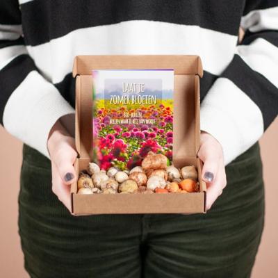 Bio Bloembollen mix voor Bijen - 44 stuks