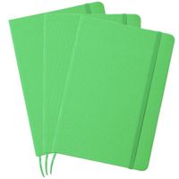 Set van 5x stuks luxe schriftjes/notitieboekjes groen met elastiek A5 formaat