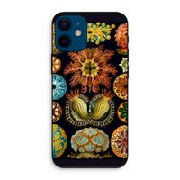 Haeckel Ascidiae: iPhone 12 mini Biologisch afbreekbaar hoesje
