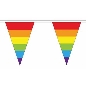 Regenboog slingers met puntvlaggetjes 5 meter   -