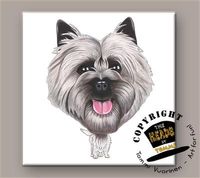 Cairn Terrier tegeltje