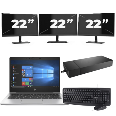 HP EliteBook 735 G6 - AMD Ryzen 5 PRO 3500U - 13 inch - 16GB RAM - 256GB SSD - Windows 10 + 3x 22 inch Monitor