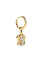 Eshvi boucle d'oreille Single Turtle