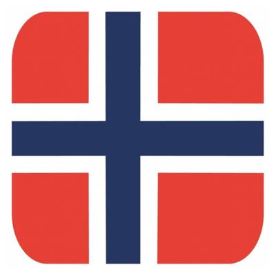 Glas viltjes met Noorse vlag 15 st