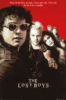 The Lost Boys Cult Classic Poster 61x91.5cm