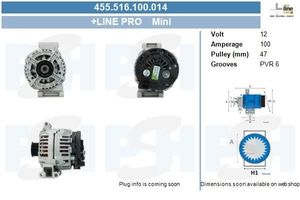 Dynamo Mini 100A met OE Regelaar 455516100014