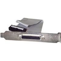 StarTech.com 40 cm DB25 parallelle vrouwelijke naar IDC 25-polige headersleufplaat