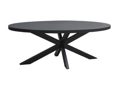 Eettafel Kala Ovaal Spin 160cm