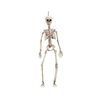 Halloween Decoraties My Other Me 120 cm Skelet