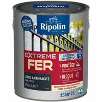 Grondverf Ripolin Grijs 2 L