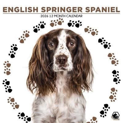 Engelse Springer Spaniel Kalender 2026