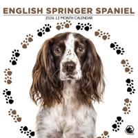 Engelse Springer Spaniel Kalender 2026