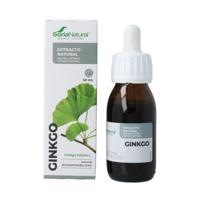Soria Natural Ginkgo biloba XXI extract