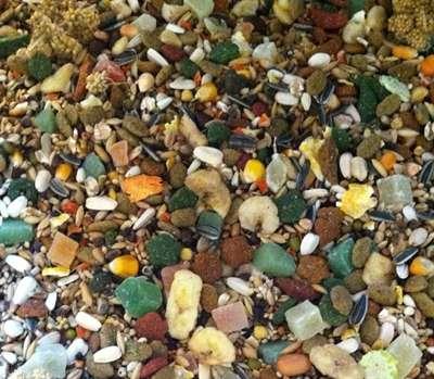 HARECO PAPEGAAI SELECT ZONDER PELLETS