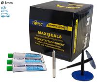 REINHEIMER Maxi-seal m6/rep.set d1= 6mm 25st.