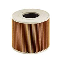 Kärcher Professional 64147890 Patroonfilter 1 stuk(s)