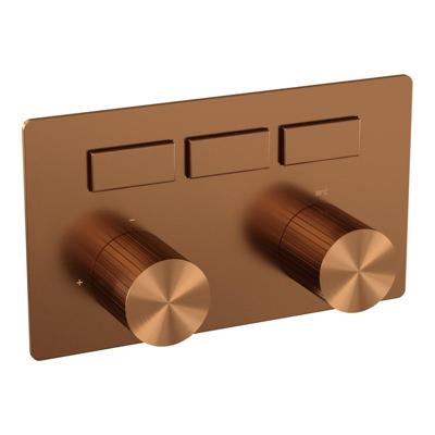 BRAUER Stripe 3-weg Inbouwthermostaat - drukknoppen - in- en afbouwdelen - koper geborsteld PVD 5-GK-356