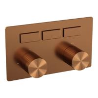 BRAUER Stripe 3-weg Inbouwthermostaat - drukknoppen - in- en afbouwdelen - koper geborsteld PVD 5-GK-356