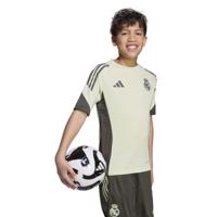 adidas Real Madrid Trainingsshirt 2025-2026 Kids Lichtgroen Grijs