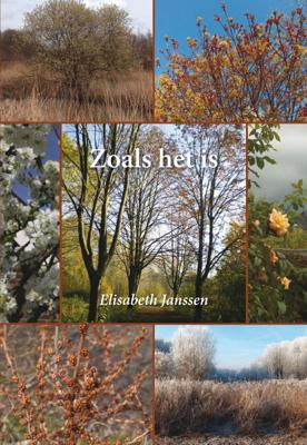 Zoals het is (Paperback)