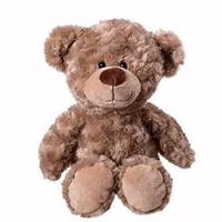 Knuffeldier beer/teddyberen pluche knuffel - 35 cm - speelgoed knuffel