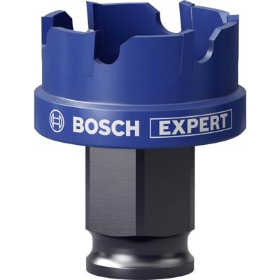Bosch Accessories EXPERT Sheet Metal 2608900497 Gatenzaag 1 stuks 32 mm 1 stuk(s)