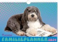 Rachael Hale Honden familieplanner - 2024 - Spiraalgebonden (9789464325652)