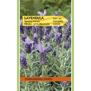 Lavendel