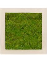 Mosschilderij - Polystone Natural 100% Platmos