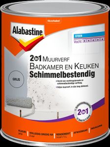 Alabastine 2In1 Muurverf B&K Grijs 1L - 5256777 - 5256777