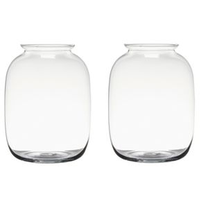 Set van 2x stuks transparante home-basics vaas/vazen van glas 25 x 19 cm