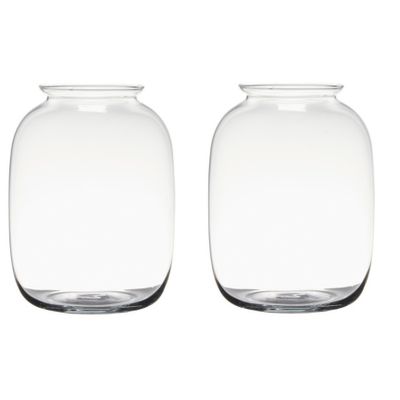 Set van 2x stuks transparante home-basics vaas/vazen van glas 25 x 19 cm