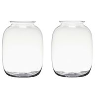 Set van 2x stuks transparante home-basics vaas/vazen van glas 25 x 19 cm