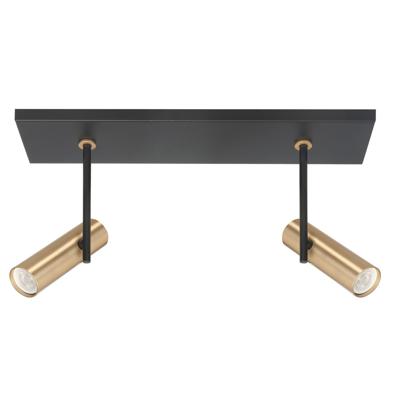 Highlight Zwarte spotTrend met messing 2-lichts recht - S7534.38