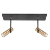 Highlight Zwarte spotTrend met messing 2-lichts recht - S7534.38
