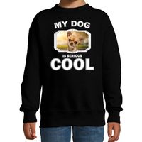 Honden liefhebber trui / sweater Chihuahua my dog is serious cool zwart voor kinderen 14-15 jaar (170/176)  - - thumbnail