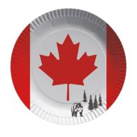 Canada vlag thema wegwerp bordjes - 8x stuks - Dia 23 cm - Canadese feestartikelen