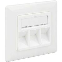 DeLOCK Keystone Wall Outlet 3 Port compact doos - thumbnail