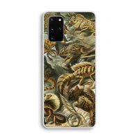 Haeckel Lacertilia: Samsung Galaxy S20 Plus Transparant Hoesje