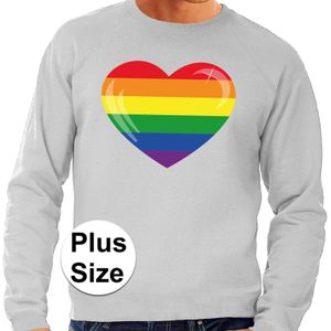 Grote maten regenboog hart sweater grijs voor heren