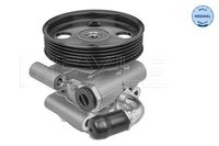 Servo pomp 5146310024