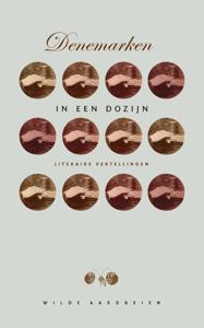 DENEMARKEN IN EEN DOZIJN (Paperback)