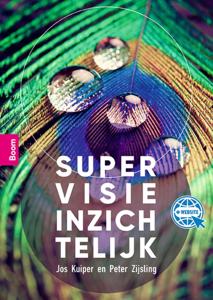 Supervisie inzichtelijk (Paperback)