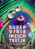 Supervisie inzichtelijk (Paperback)