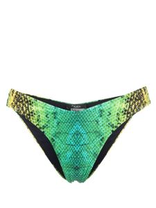 Noire Swimwear bas de bikini Lulu à imprimé peau de serpent - Vert