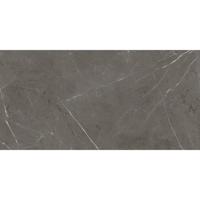 ABK Imoker Sensi Vloer- en wandtegel - 60X120cm - 8,5mm - Rechthoek - gerectificeerd - Porcellanato gekleurd Stone Grey Glans 2018131