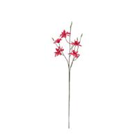 Magnolia Kunsttak 83cm Cerise