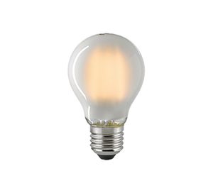 LED lamp 2,5W 250 lumen 2700K E27 peer mat dimbaar