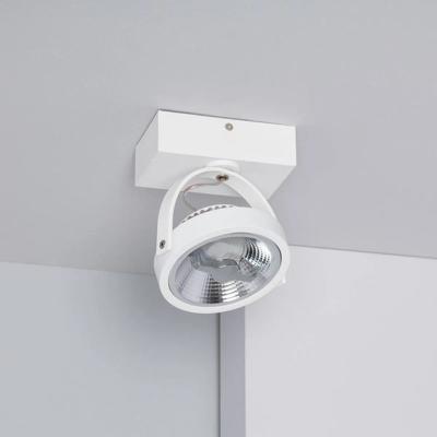 Witte verstelbare CREE-COB 15W AR111 LED plafondlamp met 1 spot (dimbaar)
