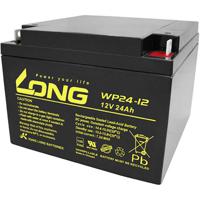 Long WP24-12 Loodaccu 12 V 24 Ah Loodvlies (AGM) (b x h x d) 166 x 125 x 175 mm M5-schroefaansluiting VDS-certificering, Geringe zelfontlading, Onderhoudsvrij